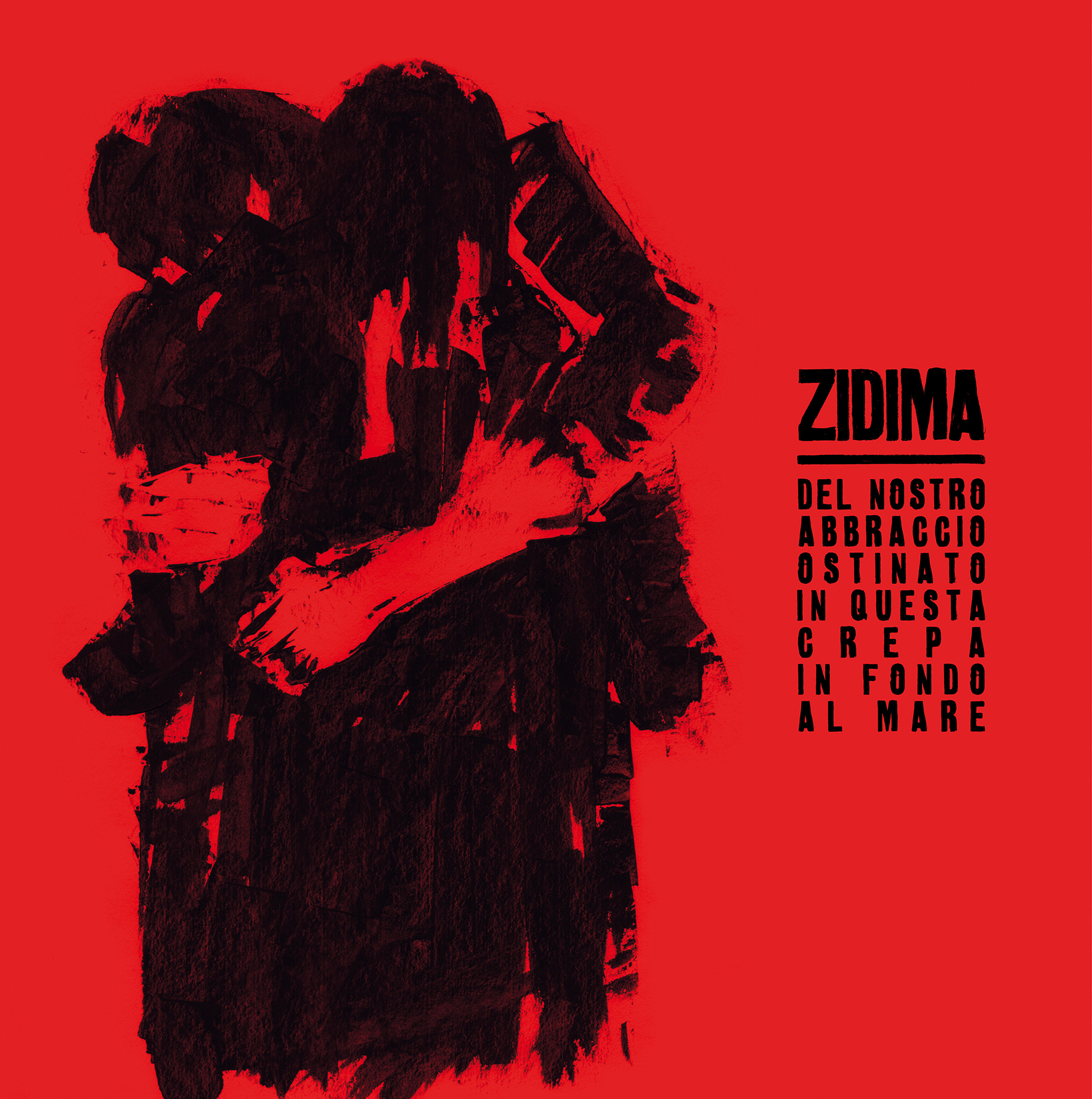 “Del nostro abbraccio ostinato in questa crepa in fondo al mare” è il nuovo disco degli ZiDima