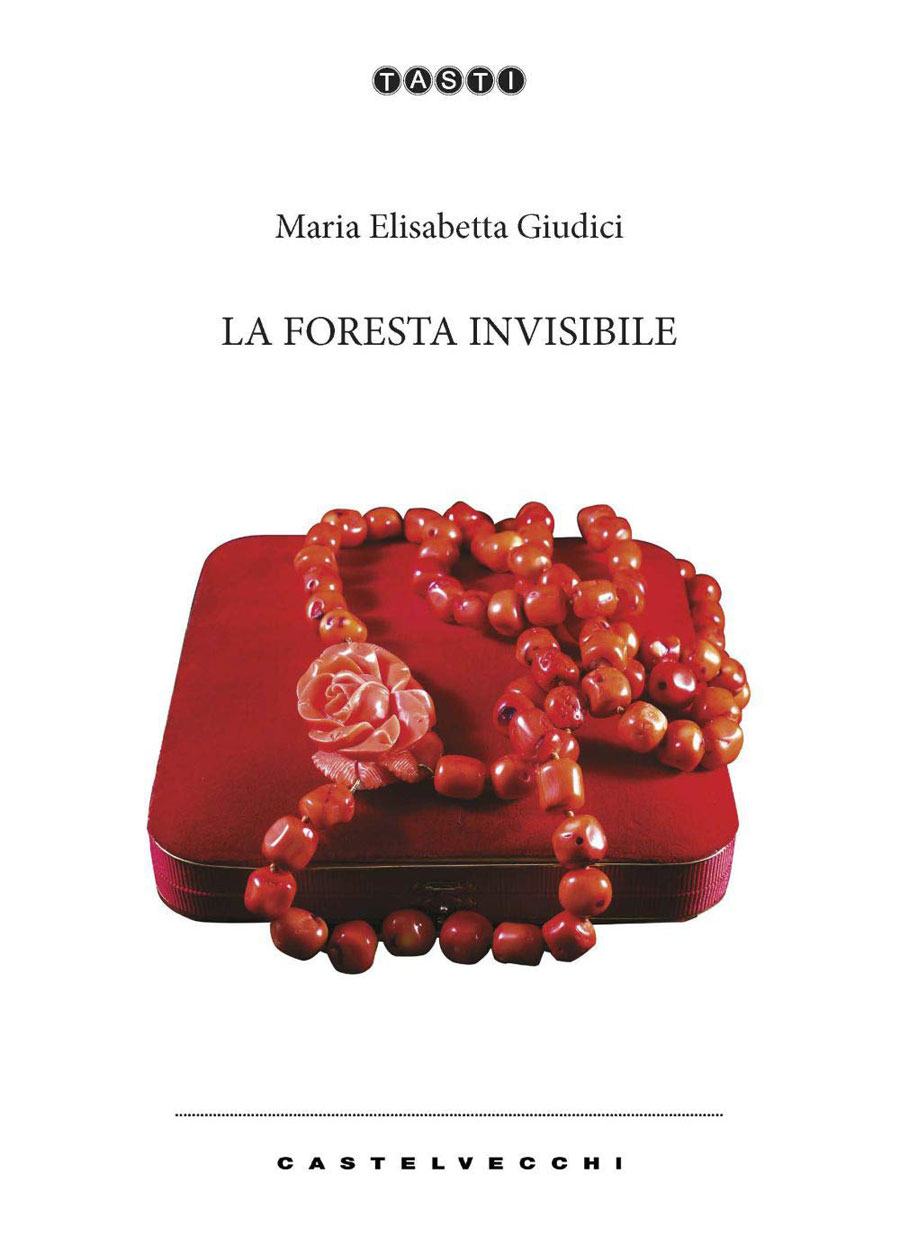 Maria Elisabetta Giudici: disponibile in libreria e negli store digitali “La foresta invisibile” il nuovo romanzo