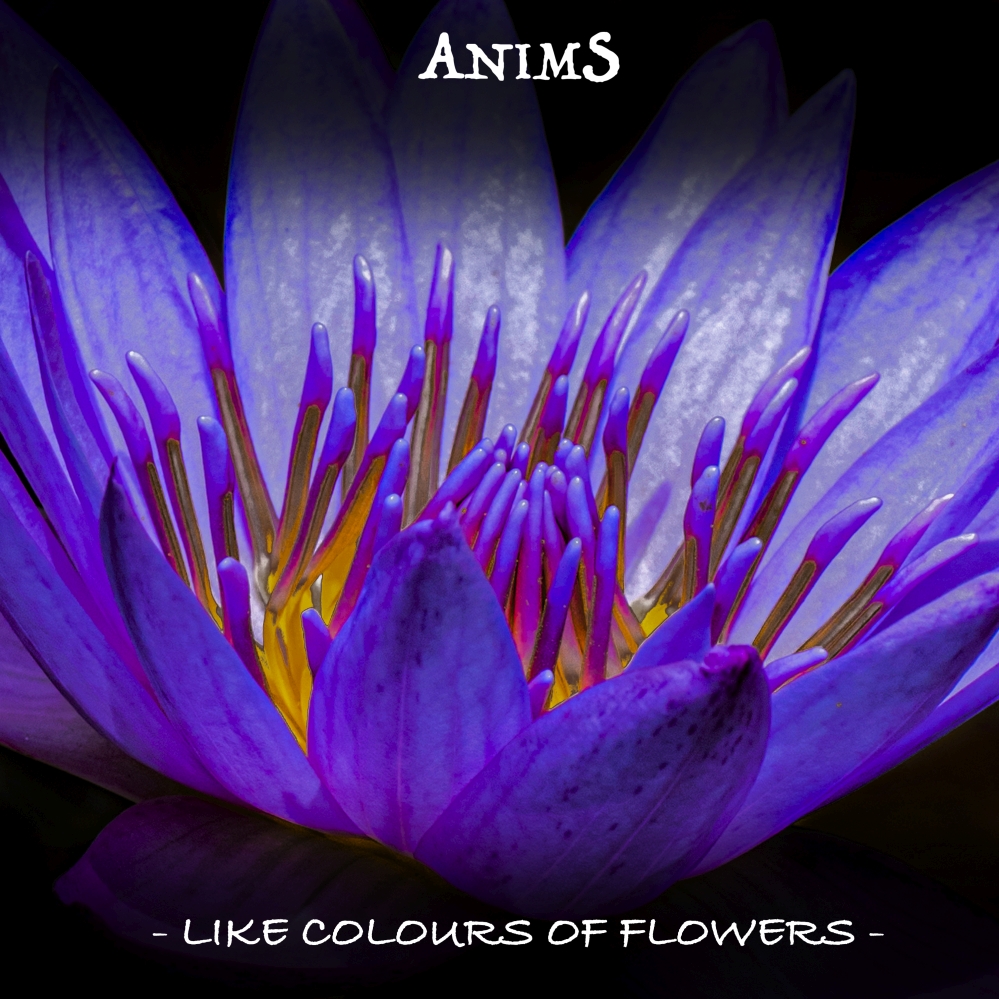 Anims, disponibile su YouTube il secondo singolo “Like Colours Of Flowers”