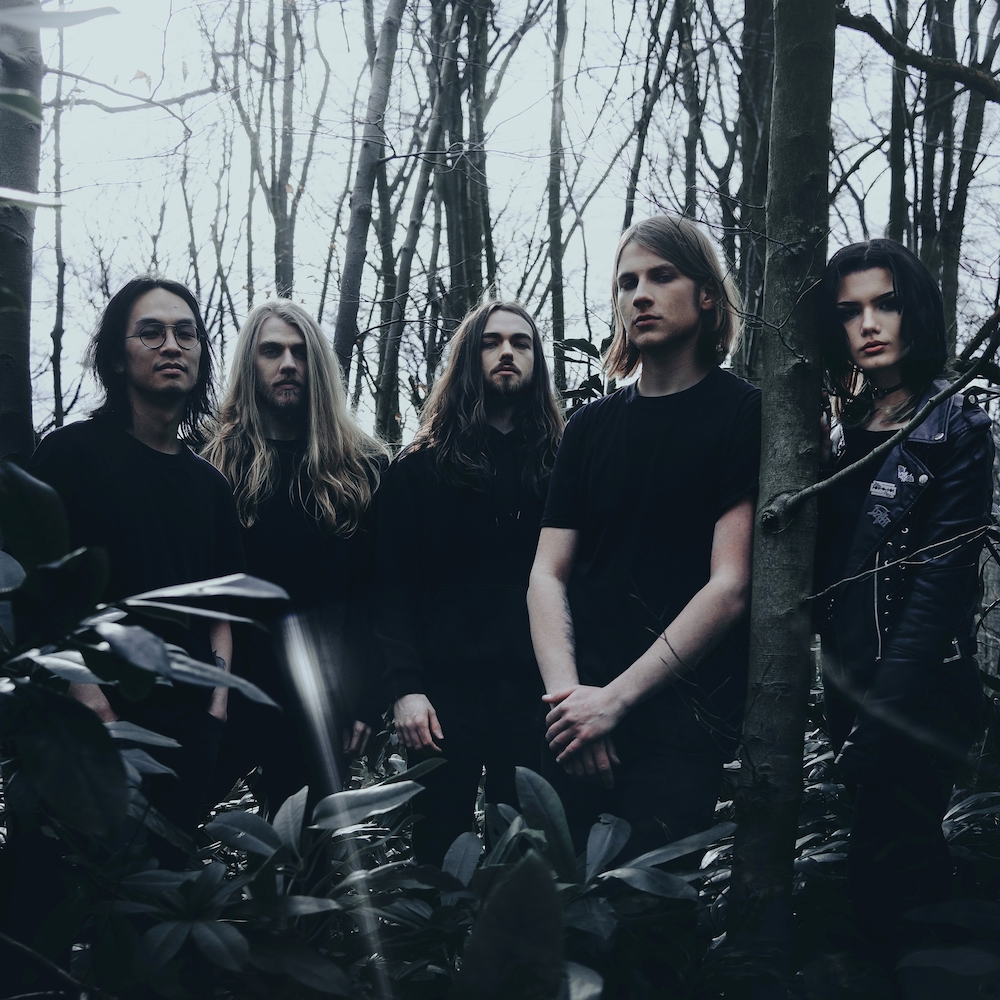 Darkness Surrounding – “Nocturnal Forest Air”