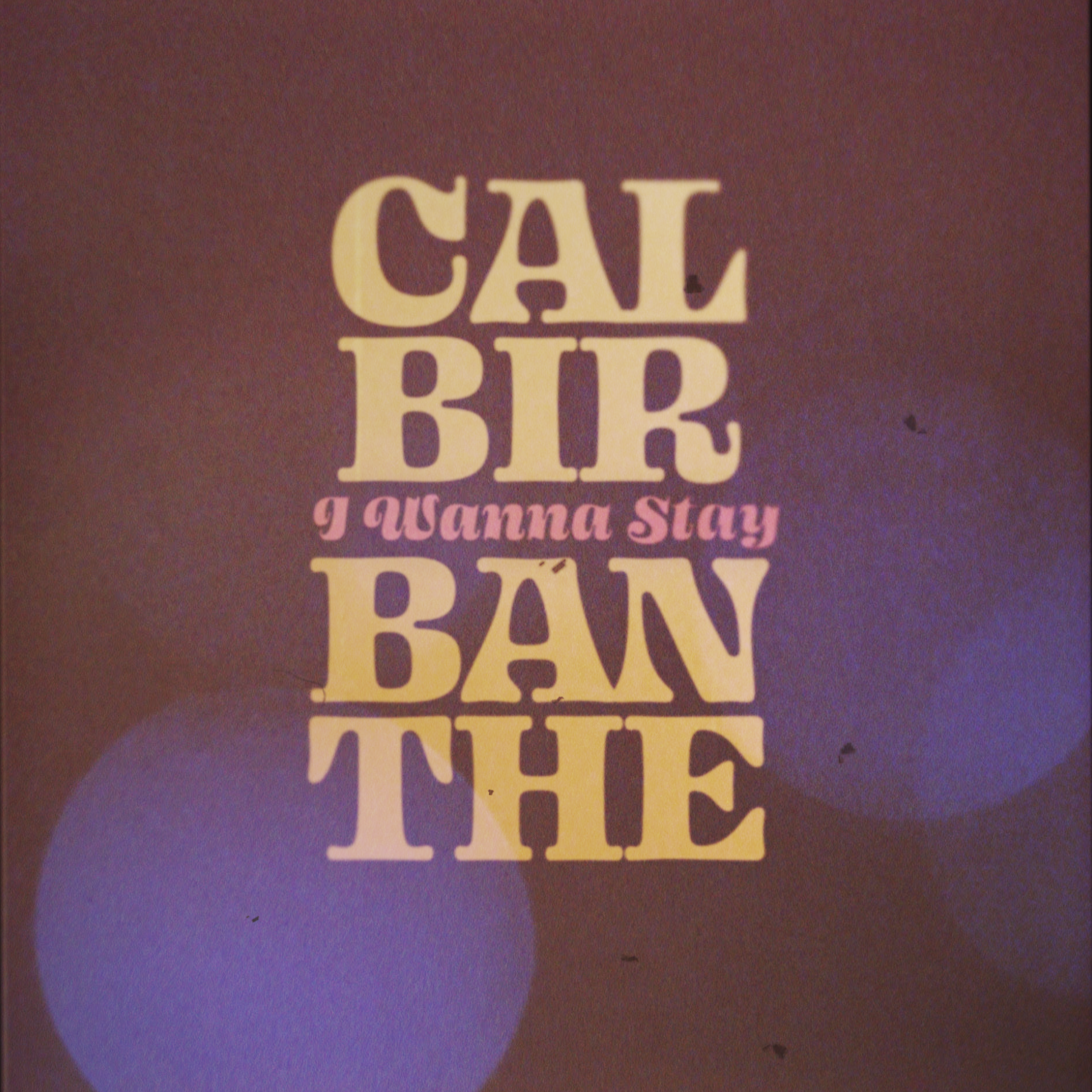 Cal Birbanthe, torna con il suo secondo singolo “I Wanna Stay”