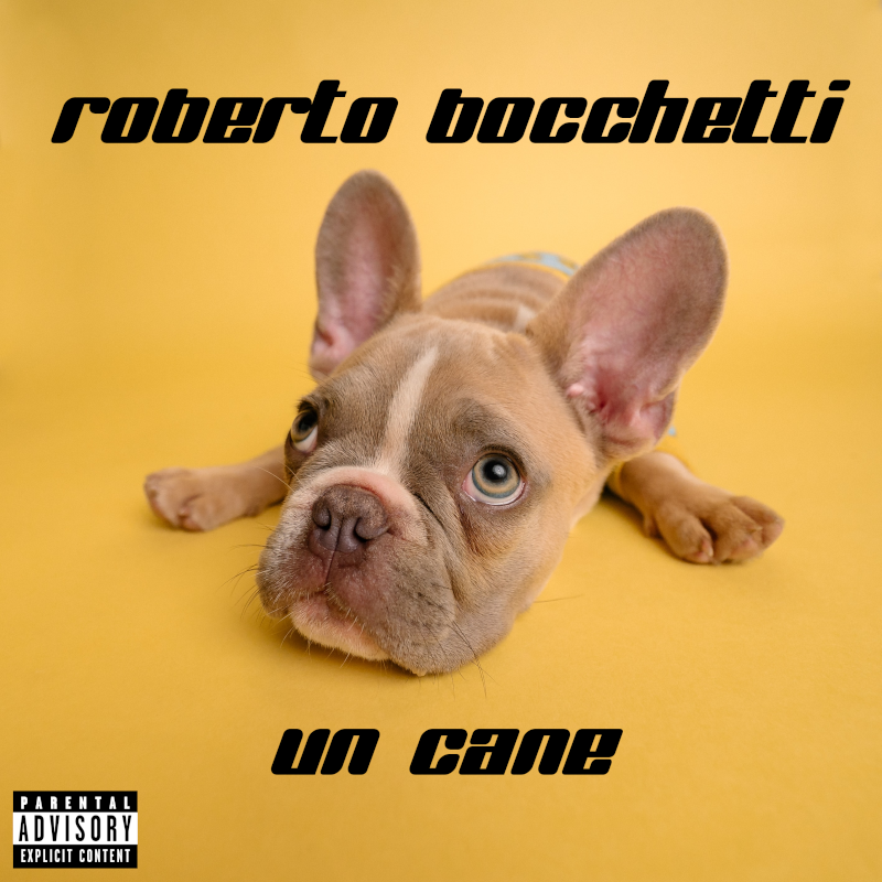 Roberto Bocchetti pubblica il nuovo singolo “Un cane”
