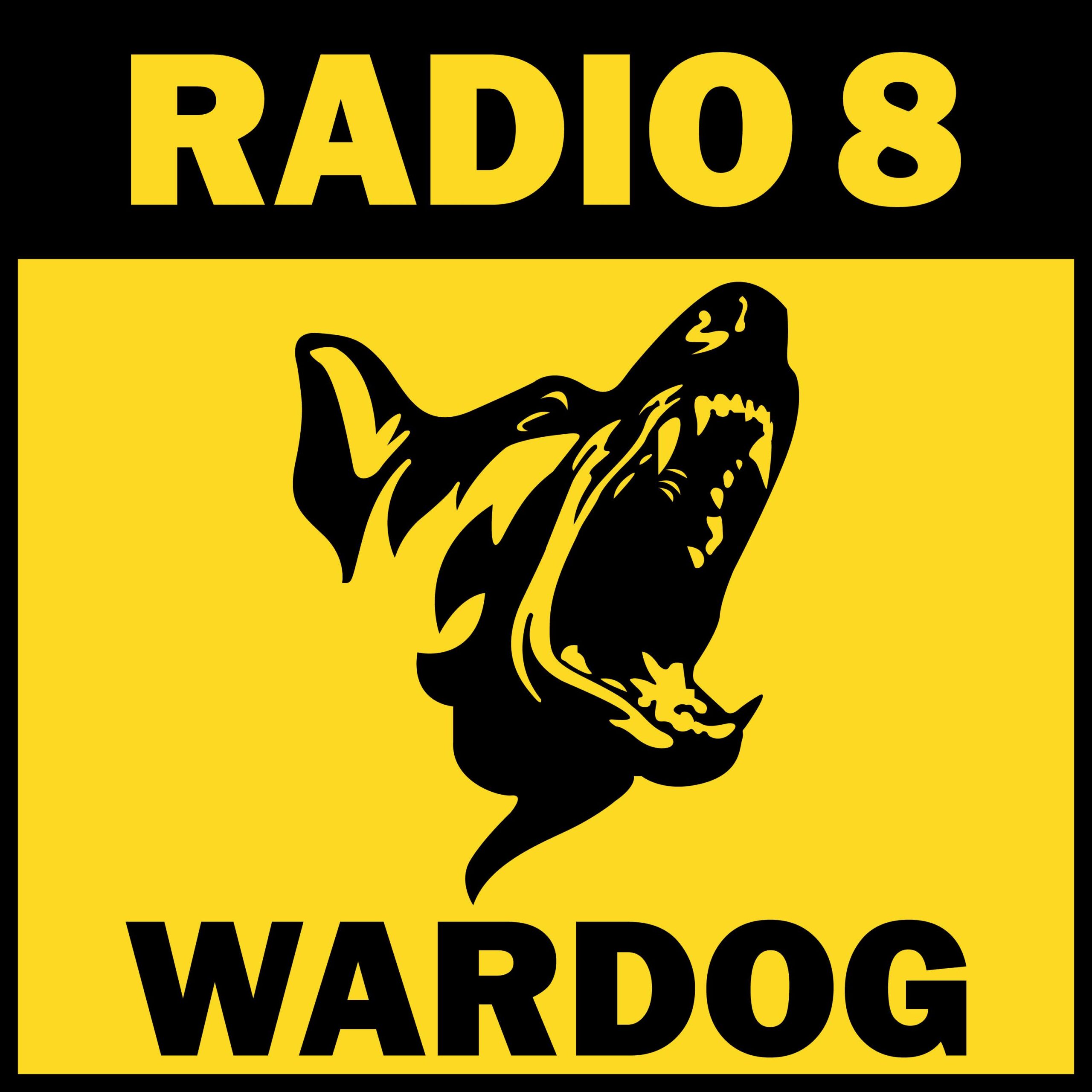 “Wardog” esce in digitale il novo singolo dei RADIO 8
