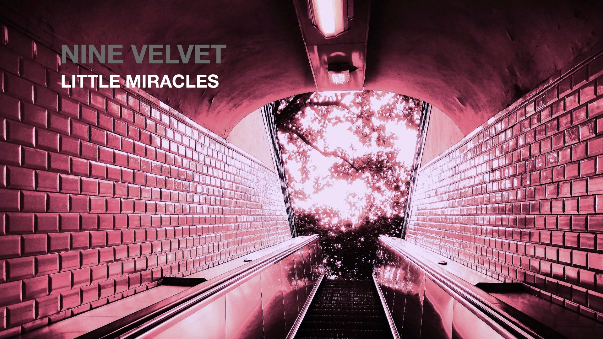 “Little Miracles”, è uscito il nuovo singolo dei Nine Velvet
