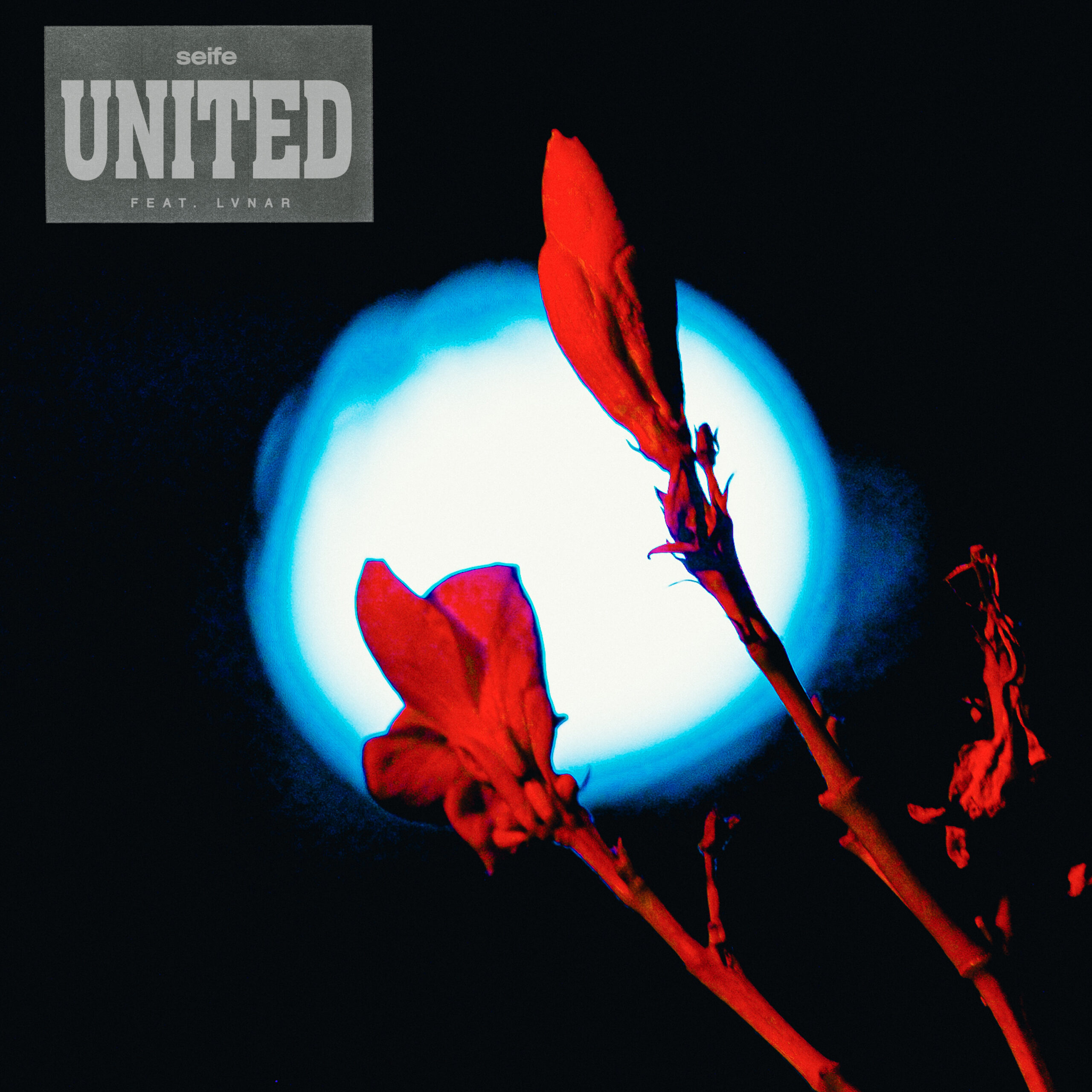 “United”, Seife pubblica il nuovo singolo con il feat. di LVNAR